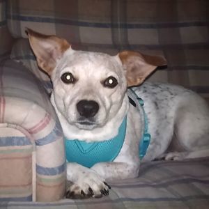 Meet your Posher, Kristi